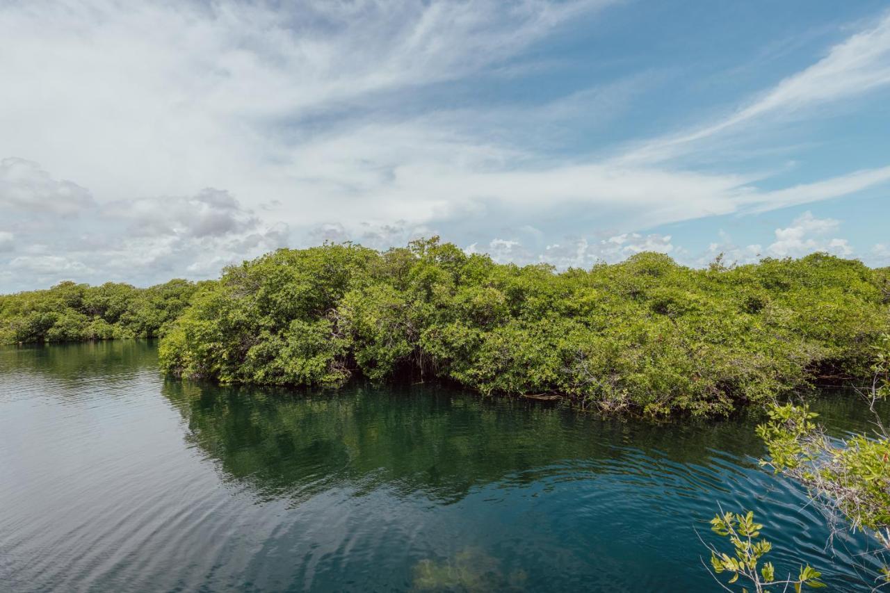 Yaxchen Tulum Cabanas & Cenote Экстерьер фото